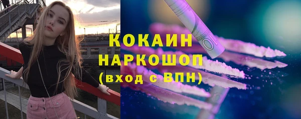 соль ск Арсеньев