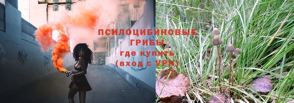 молекула духа Армянск