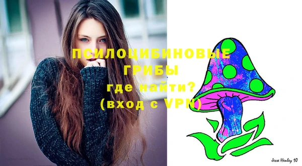 молекула духа Армянск
