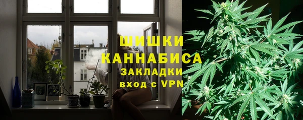 гашик Болохово