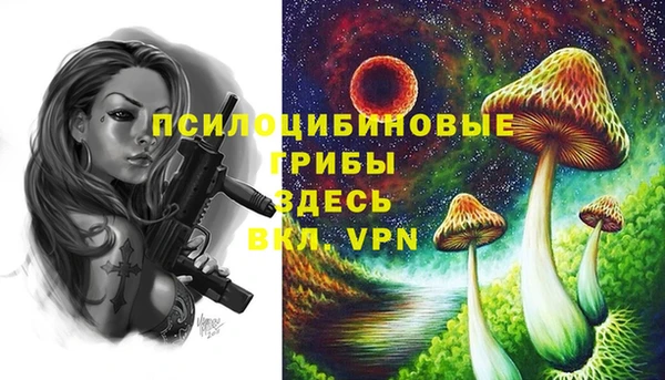 соль ск Арсеньев