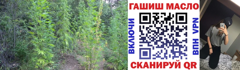 маркетплейс наркотические препараты  наркотики  Закаменск  Дистиллят ТГК вейп с тгк 