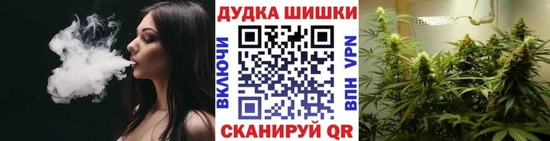 Шишки марихуана сатива  Закаменск 